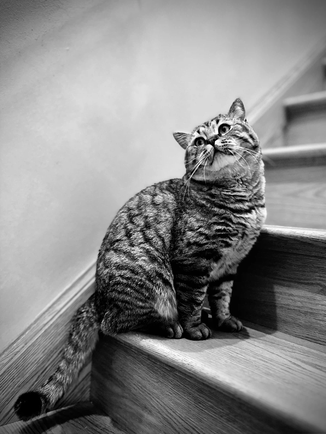 Kati profile