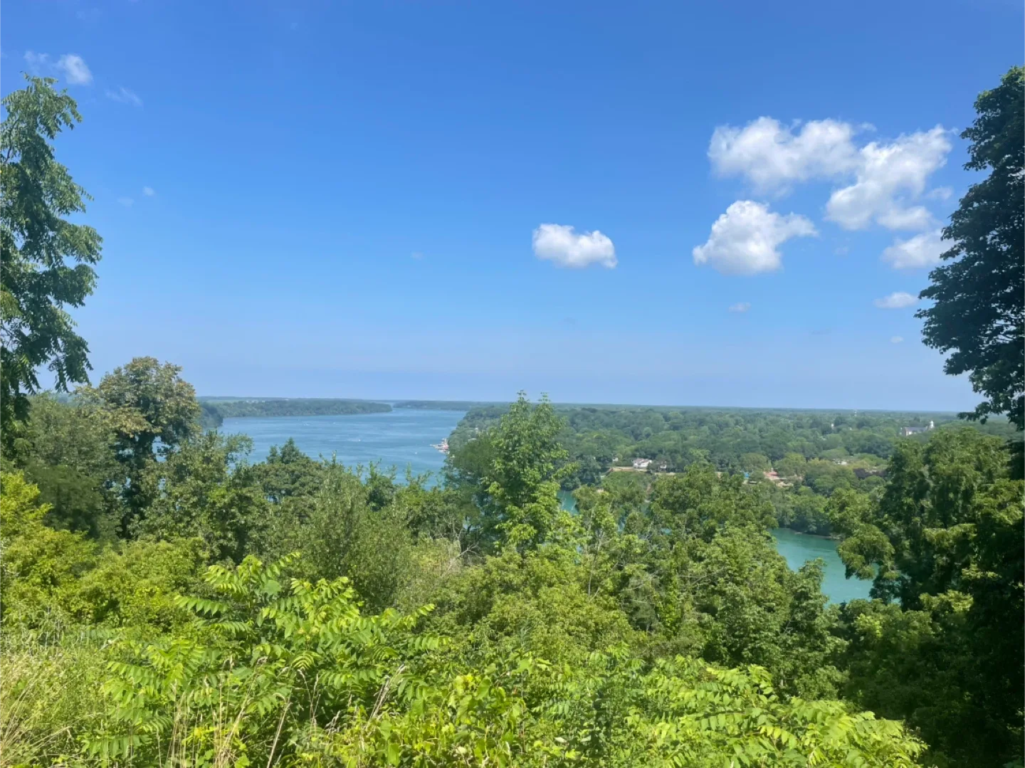 Yaseen Yousuf profile