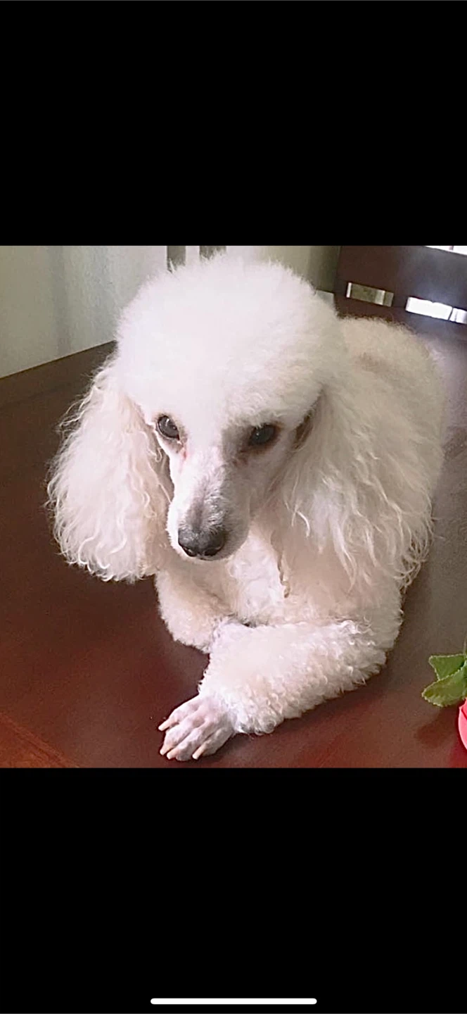 Keke profile