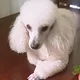 Keke profile