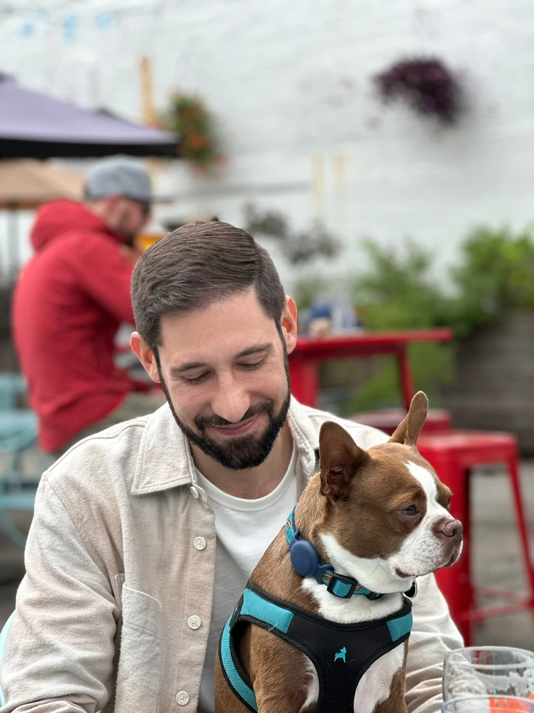 Todd profile