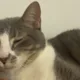Willy profile