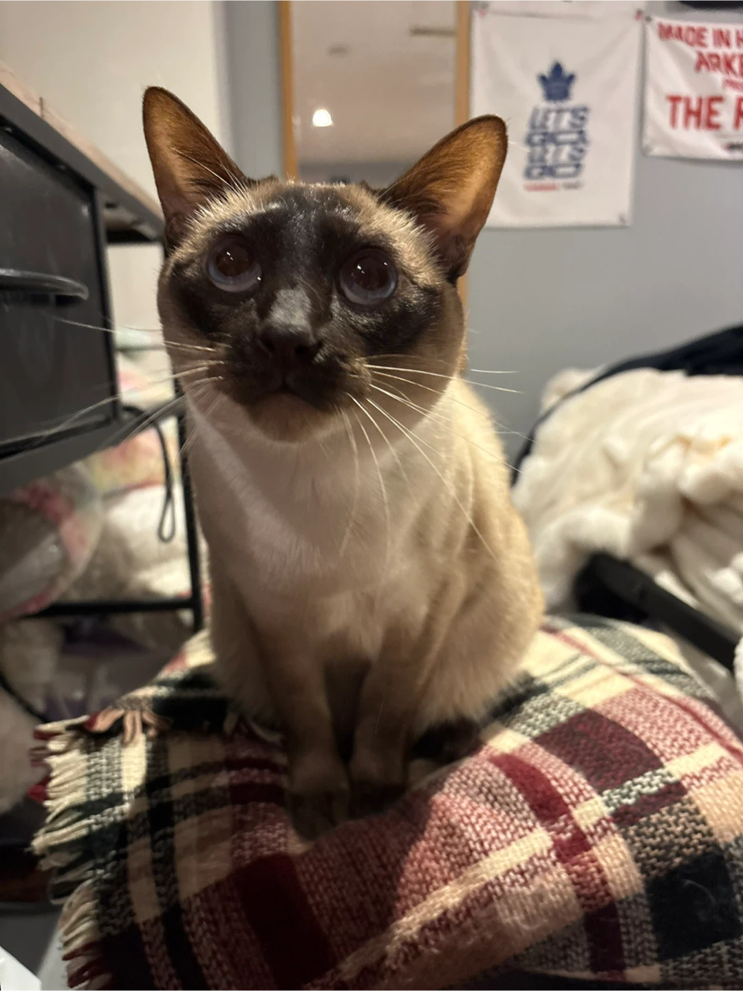 Caitlyn profile