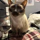 Caitlyn profile