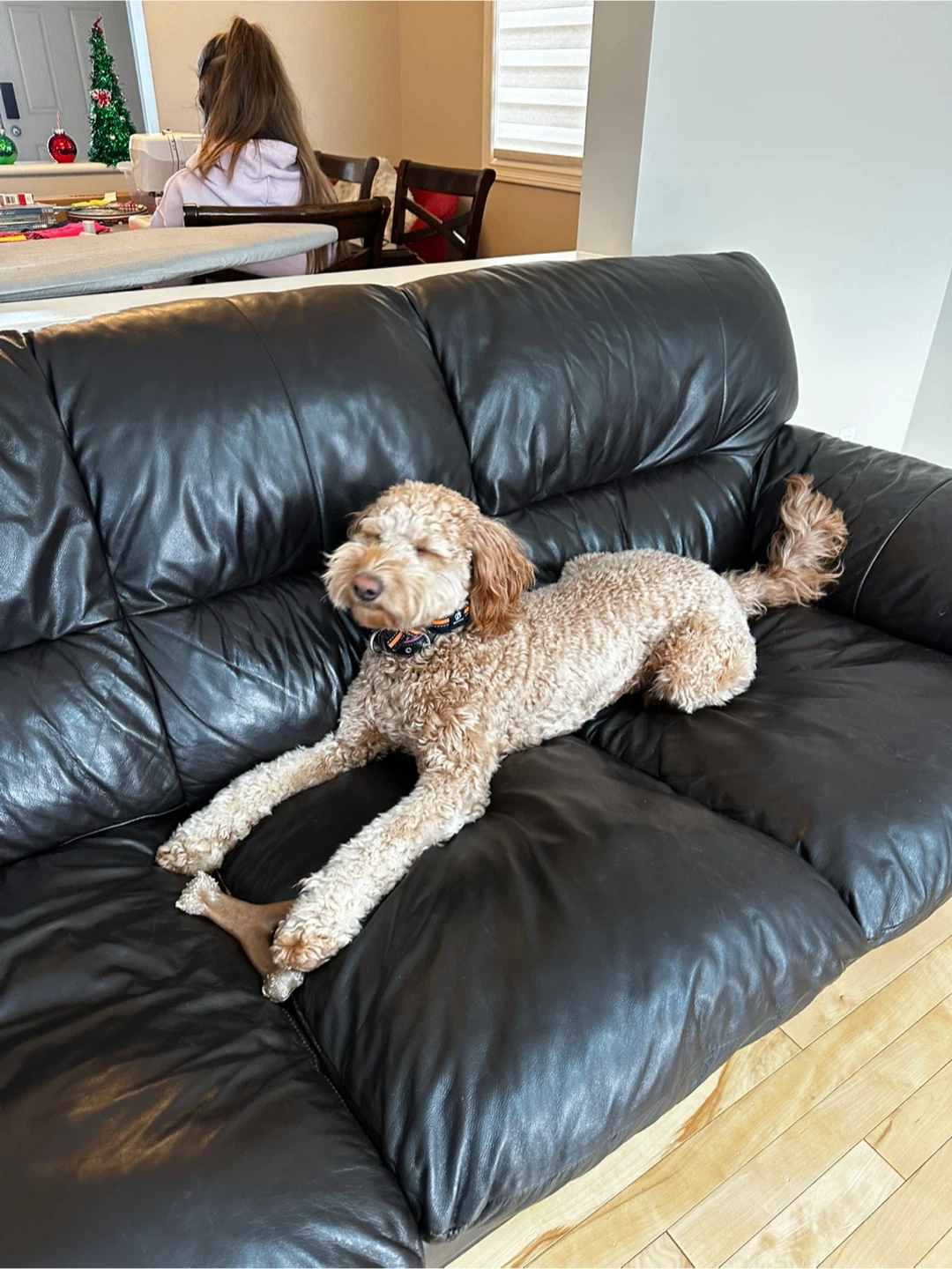 Paxtyn Henderson profile