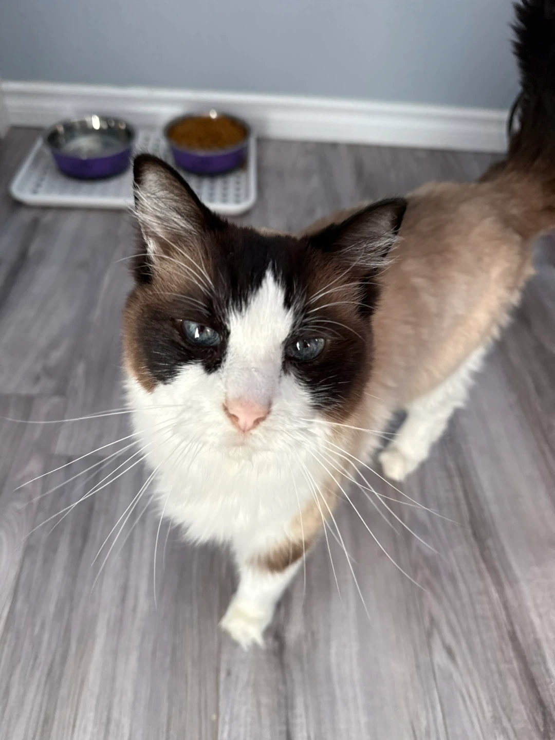 Dave profile