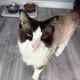 Dave profile