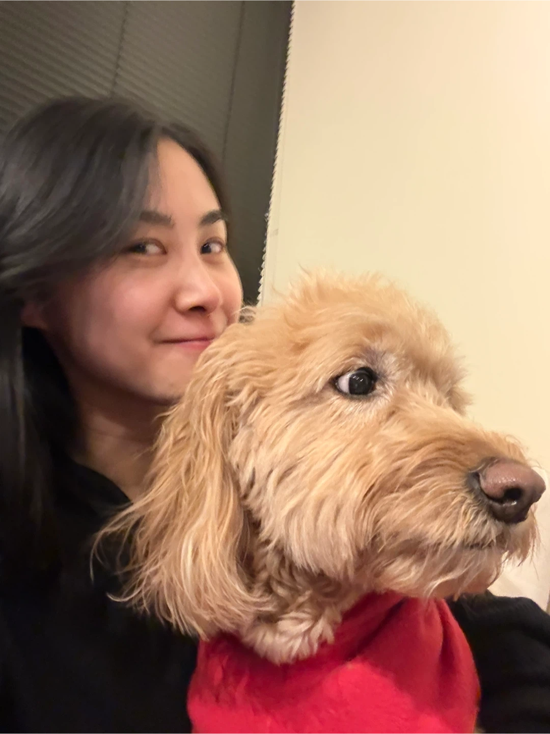 Siyao profile