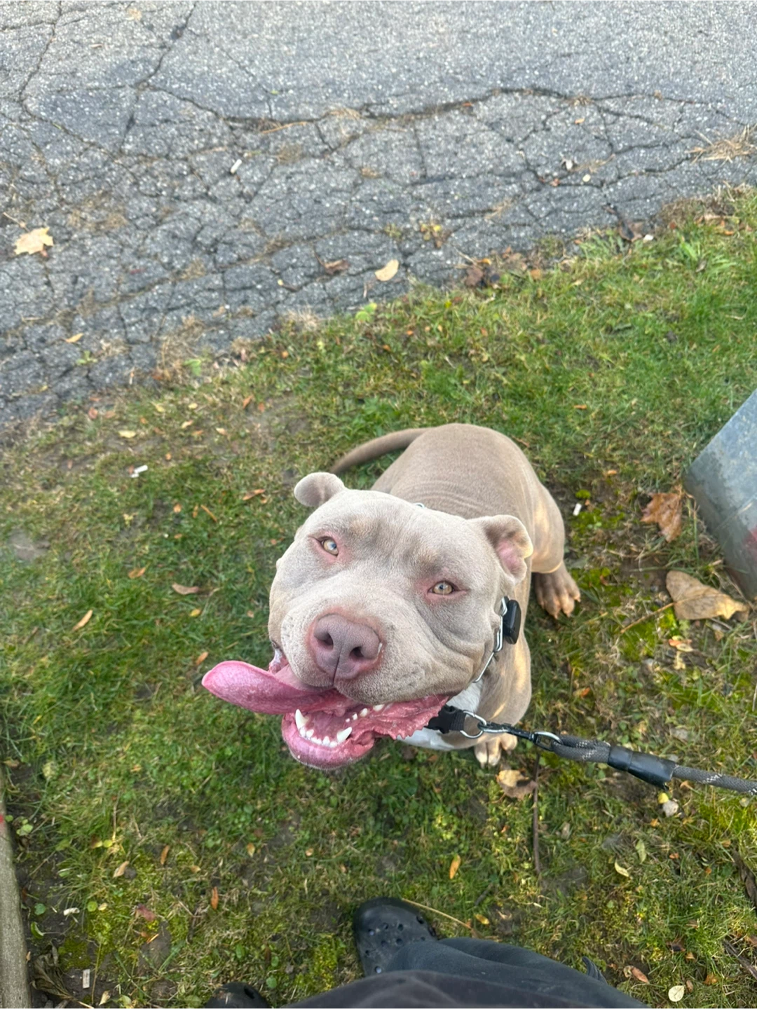 Genesis Heath profile