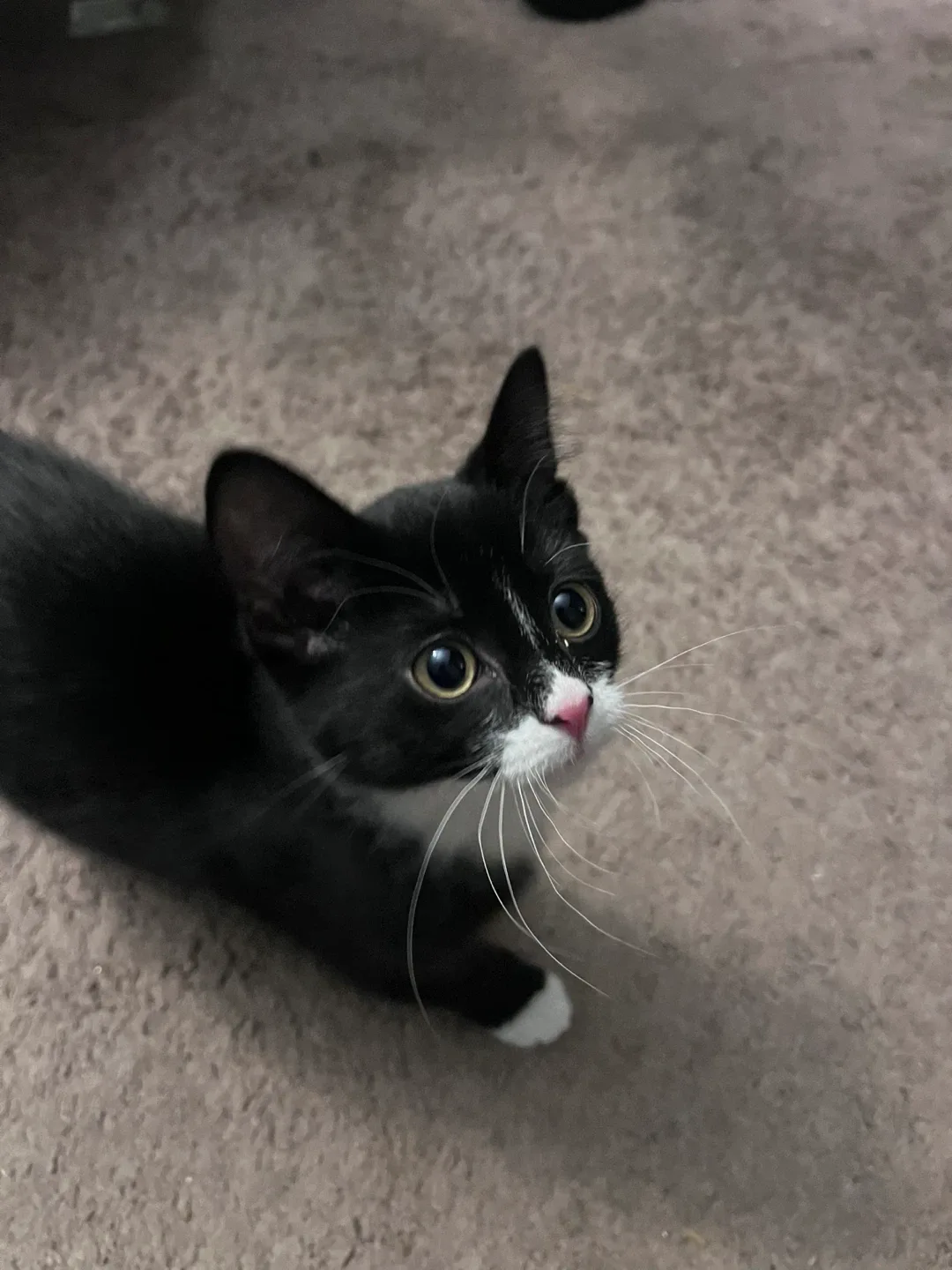 Jett watters profile