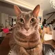 Reese profile
