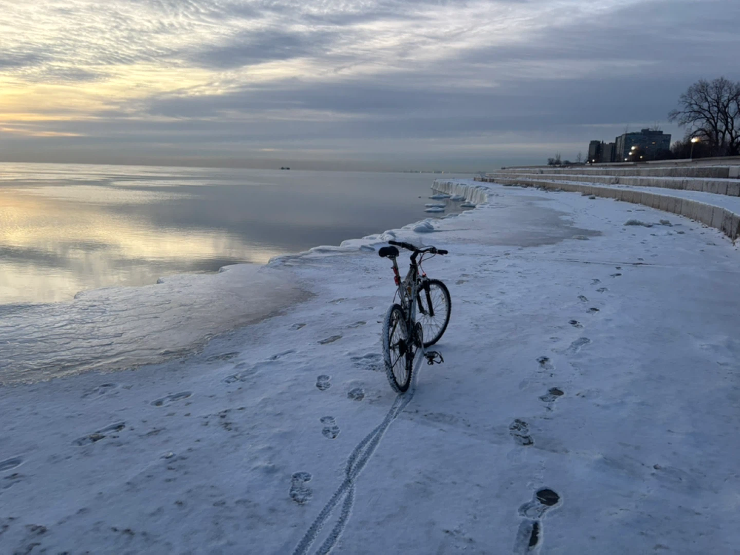 Bikebarion profile