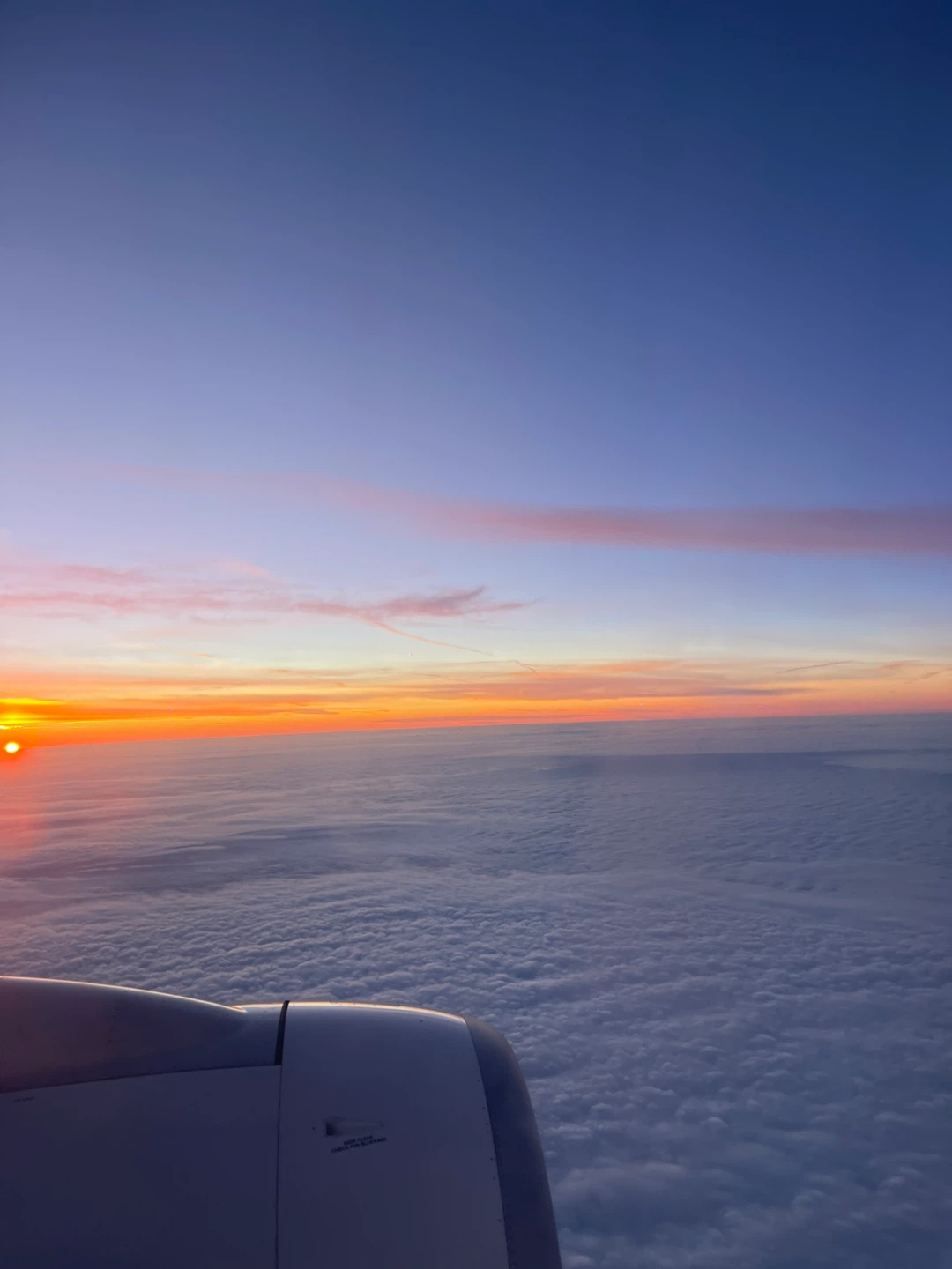 Jordan Ayoub profile