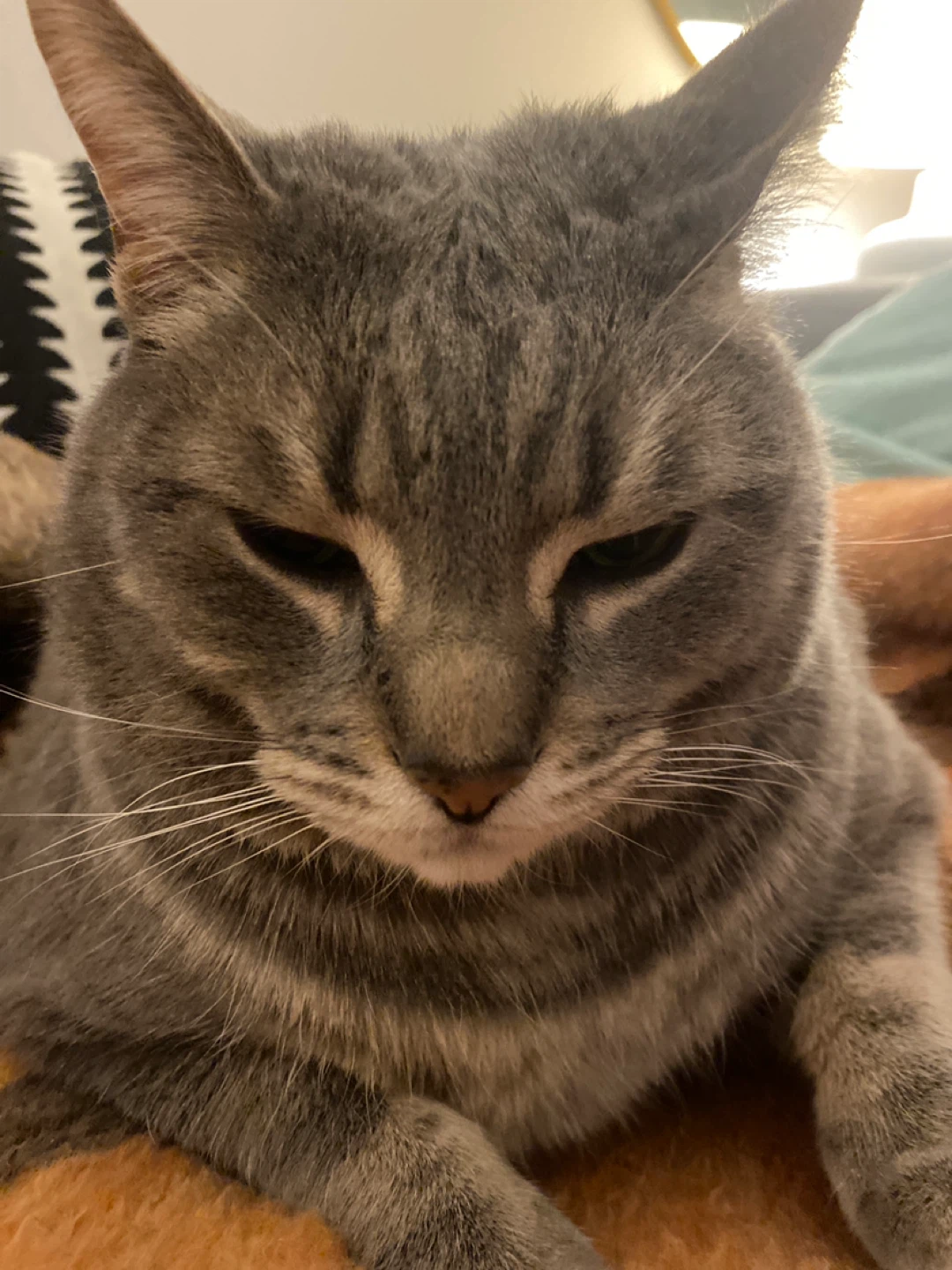 Harvey profile