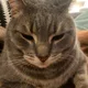 Harvey profile