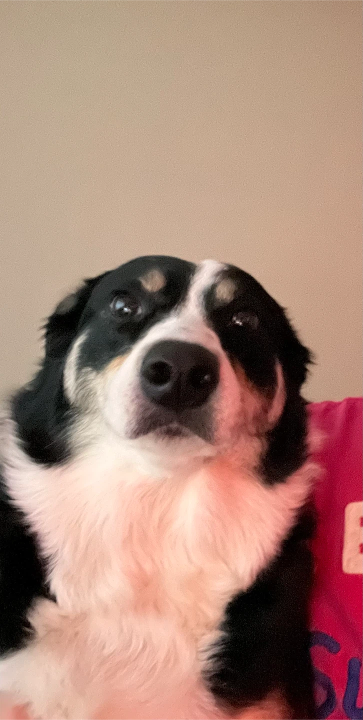 Peter profile