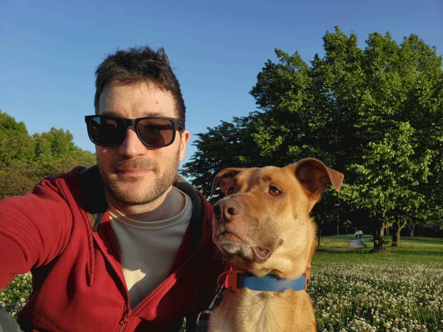 Pablo profile