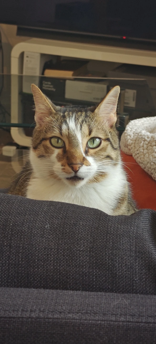 Maggie
