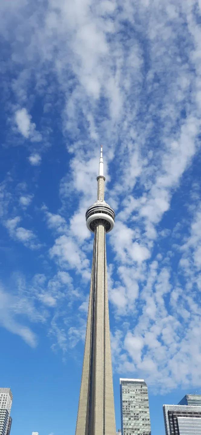 Yasin Shaikh profile