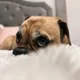 AW profile