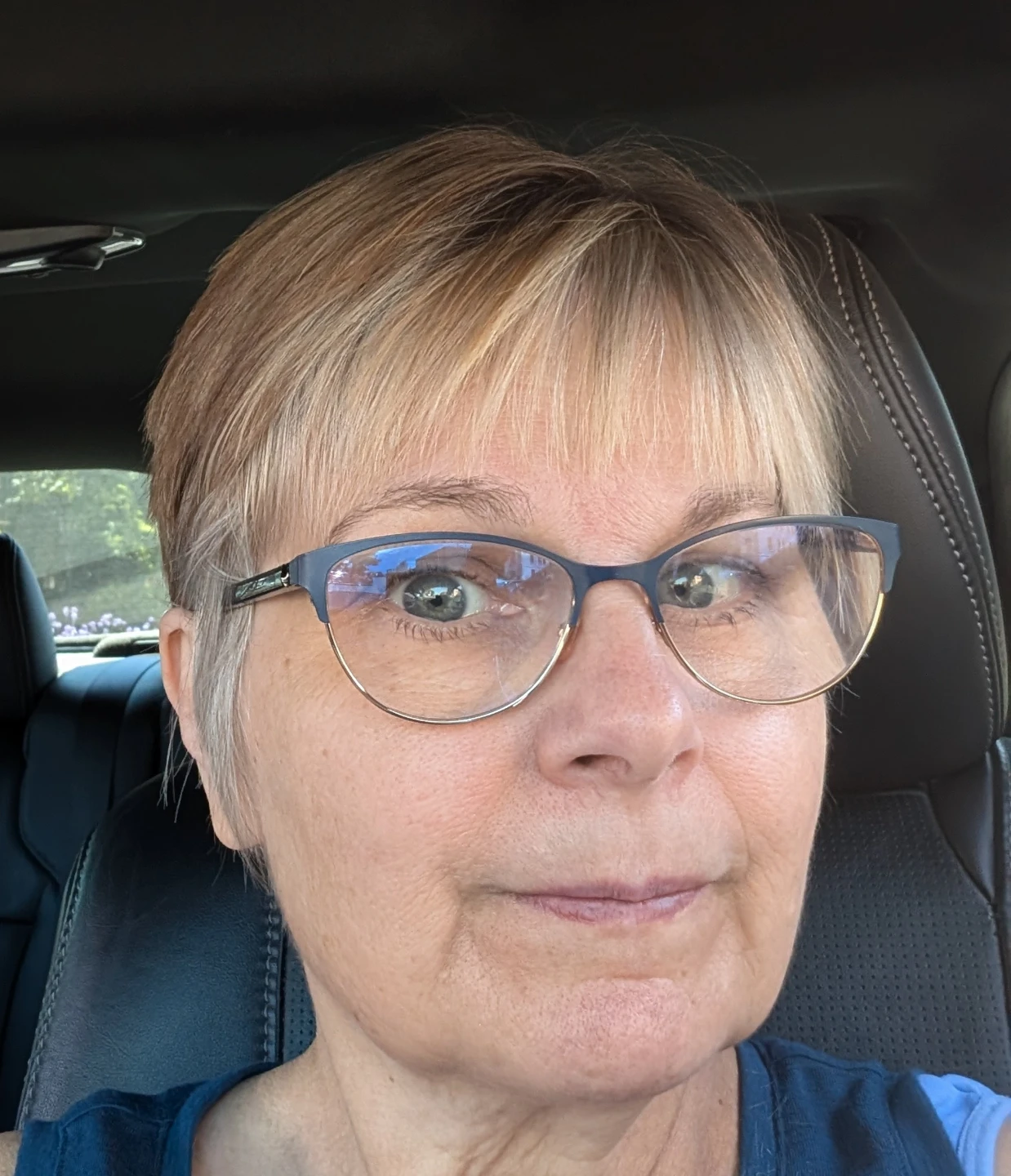 Bev profile
