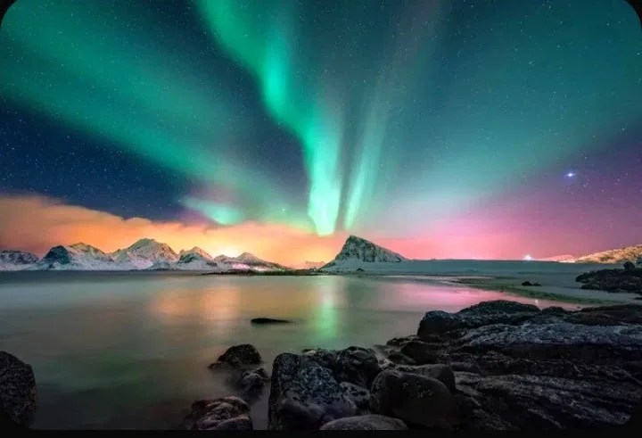 Vermillion Ron profile