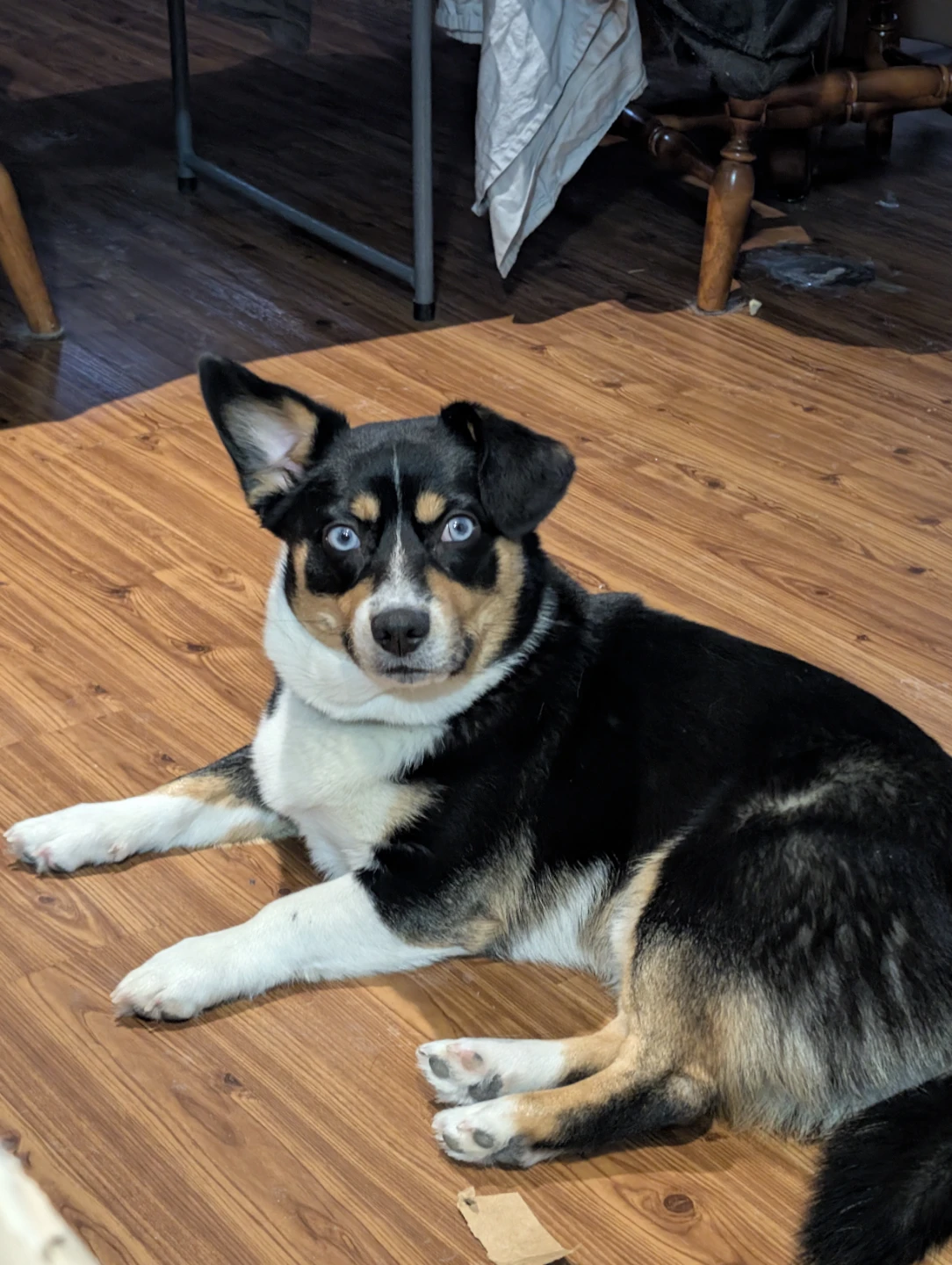 Dave profile