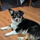 Dave profile