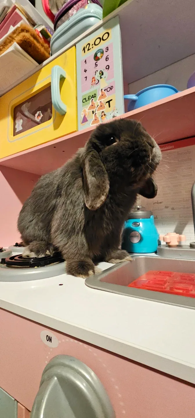 Sellerbucks25412 profile