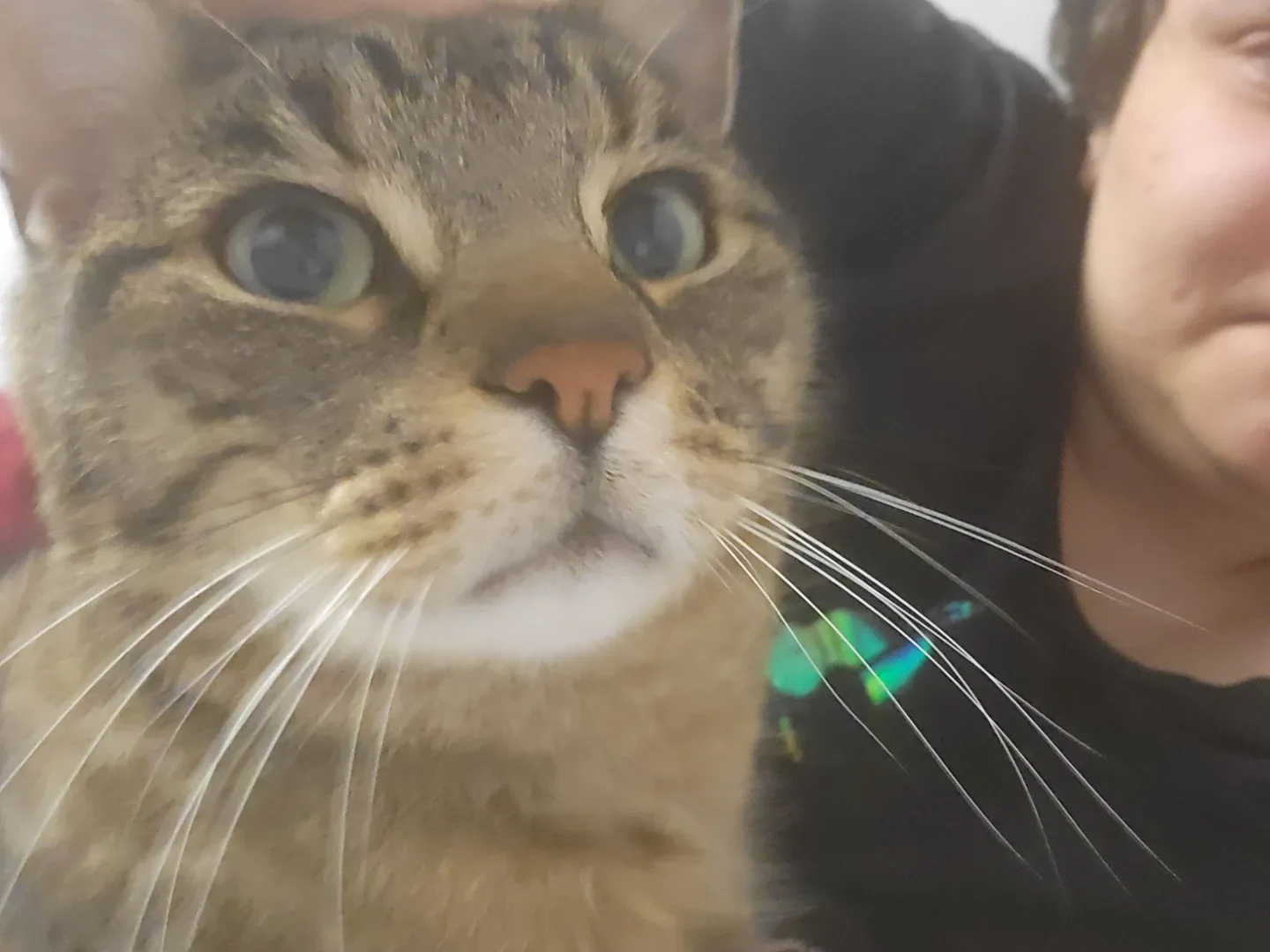 Sebina Lukawa97 profile