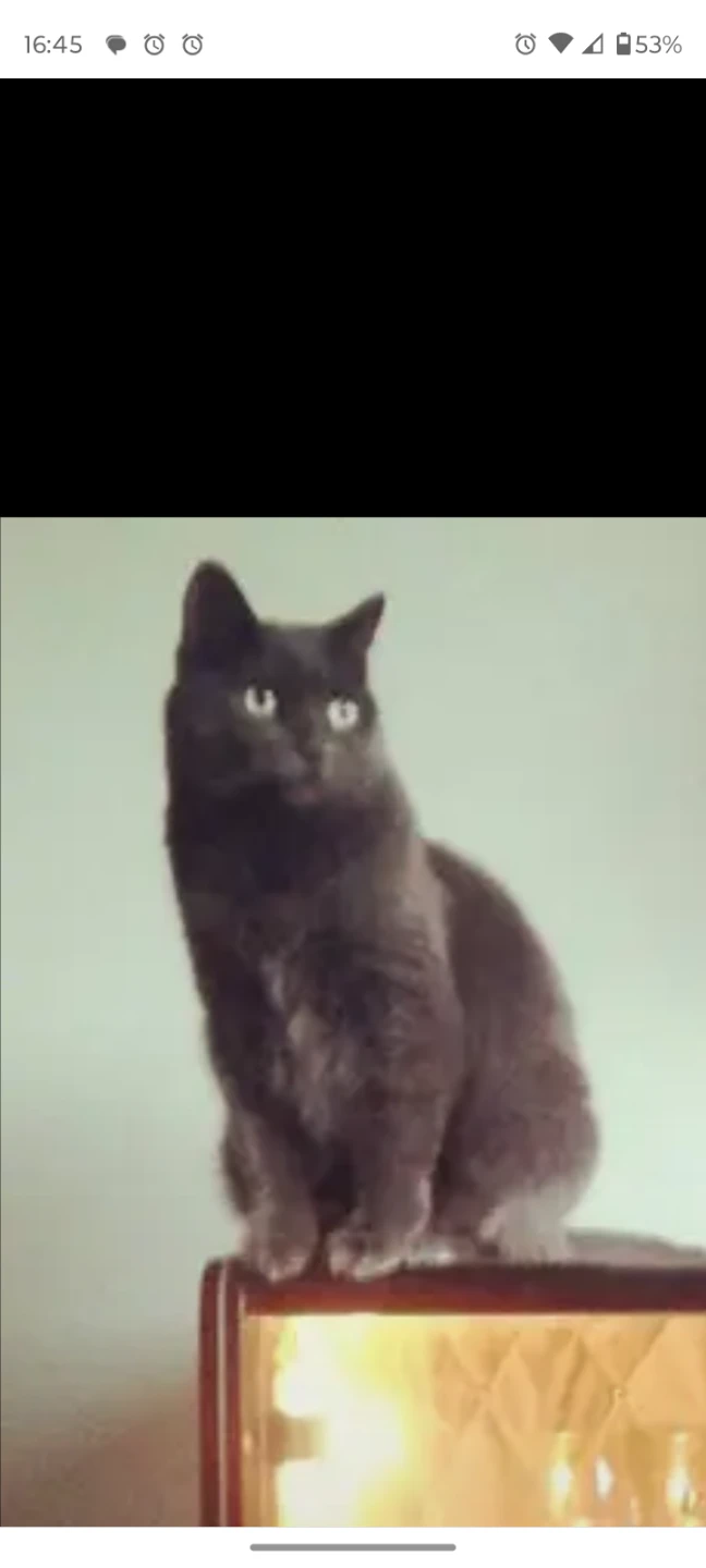 Nika profile