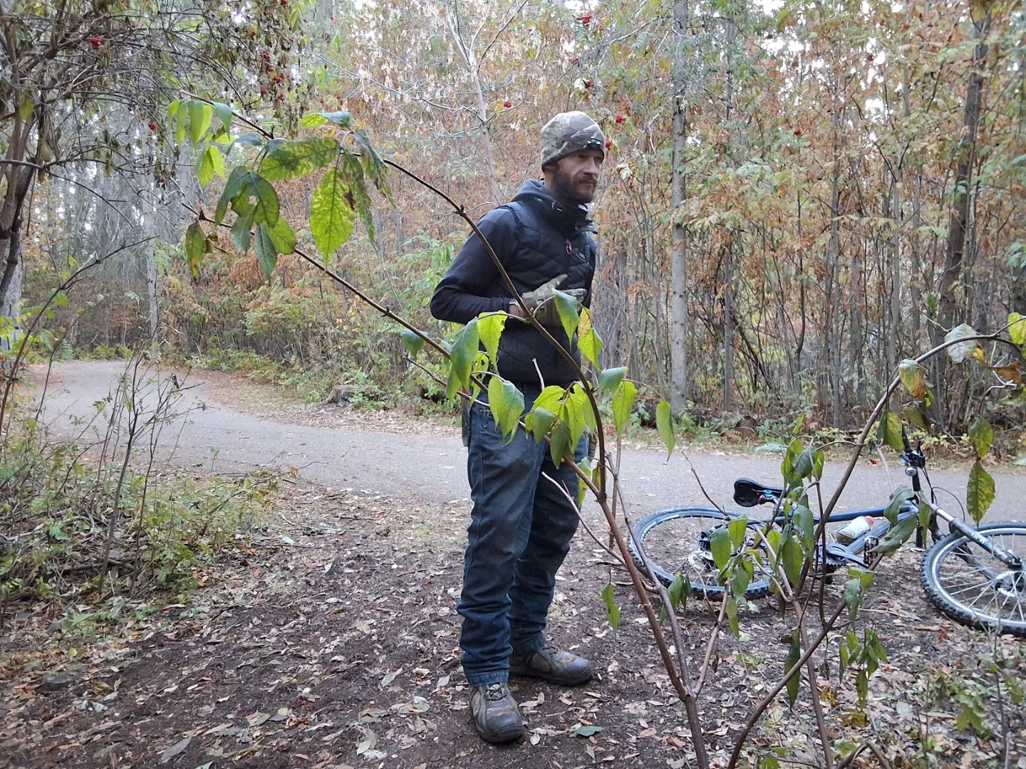 Corey Burchnall profile