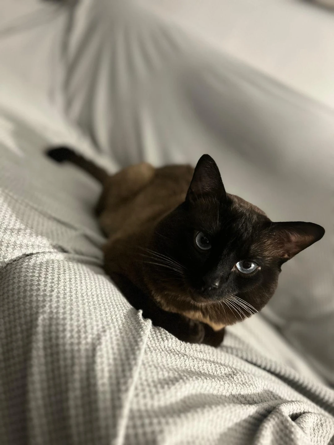 Namih profile