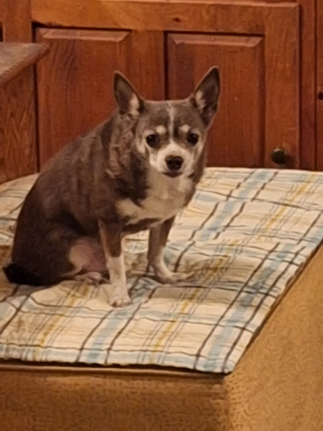 Dale profile