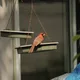 Dave profile