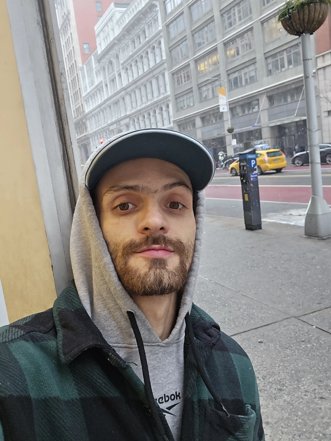 Gdavid profile