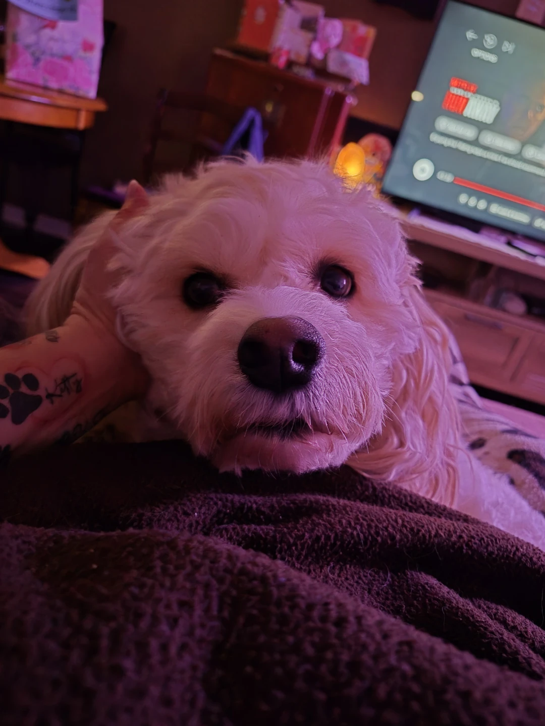 SilvaMarie Bradford profile