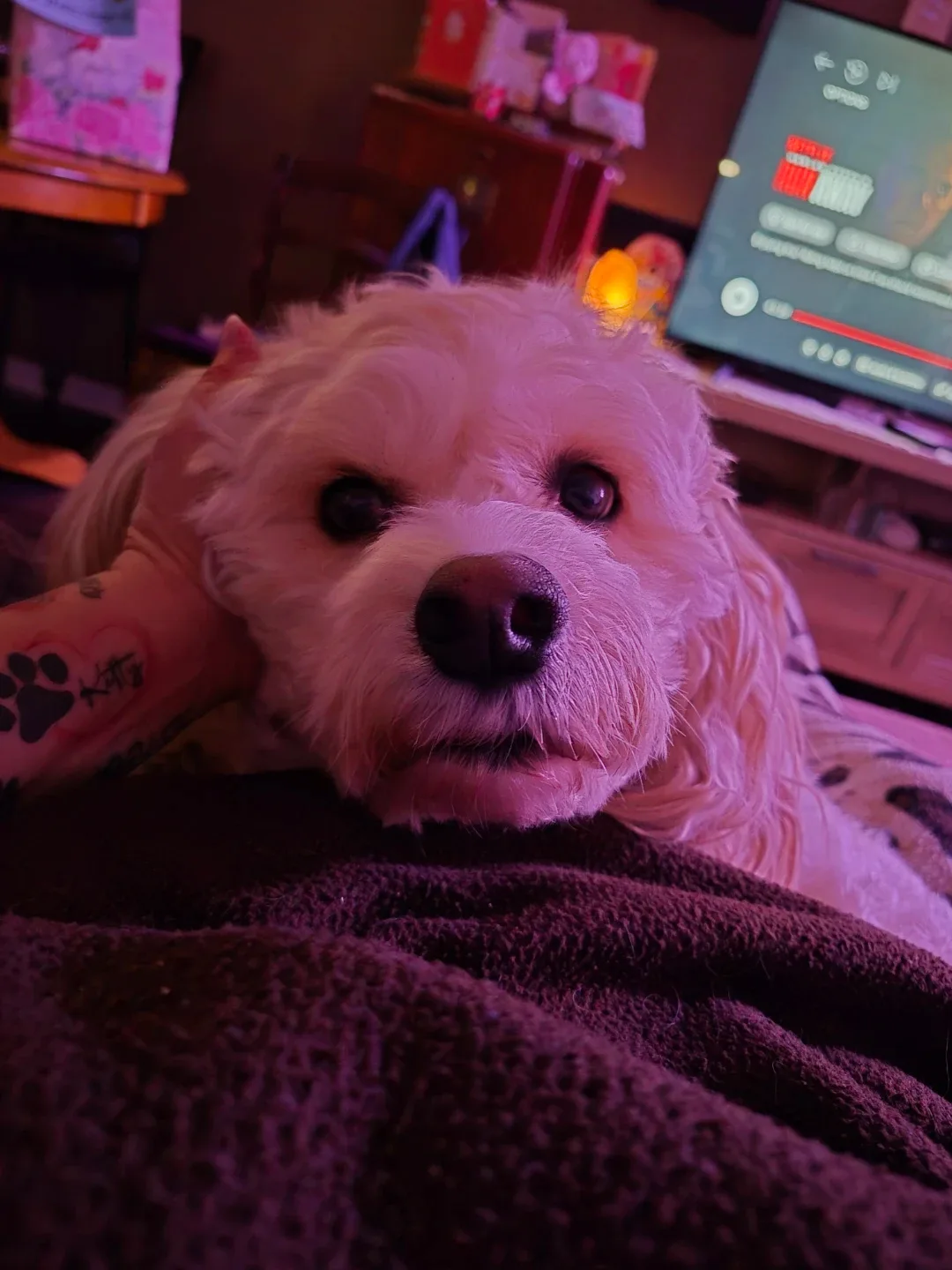 SilvaMarie Bradford profile