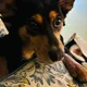 Atalie0Wally profile