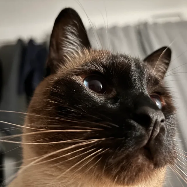 Jerry