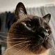 Jerry profile