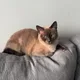 Sabine profile