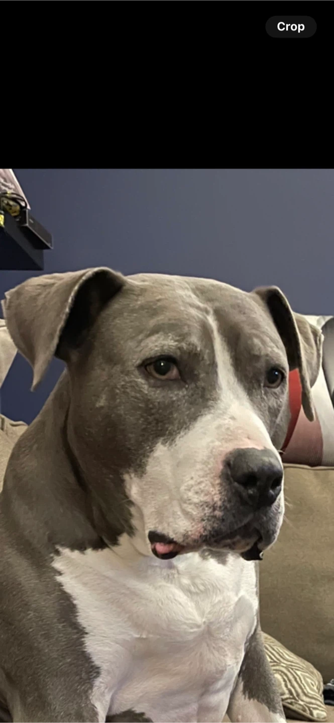 Steve profile