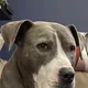 Steve profile