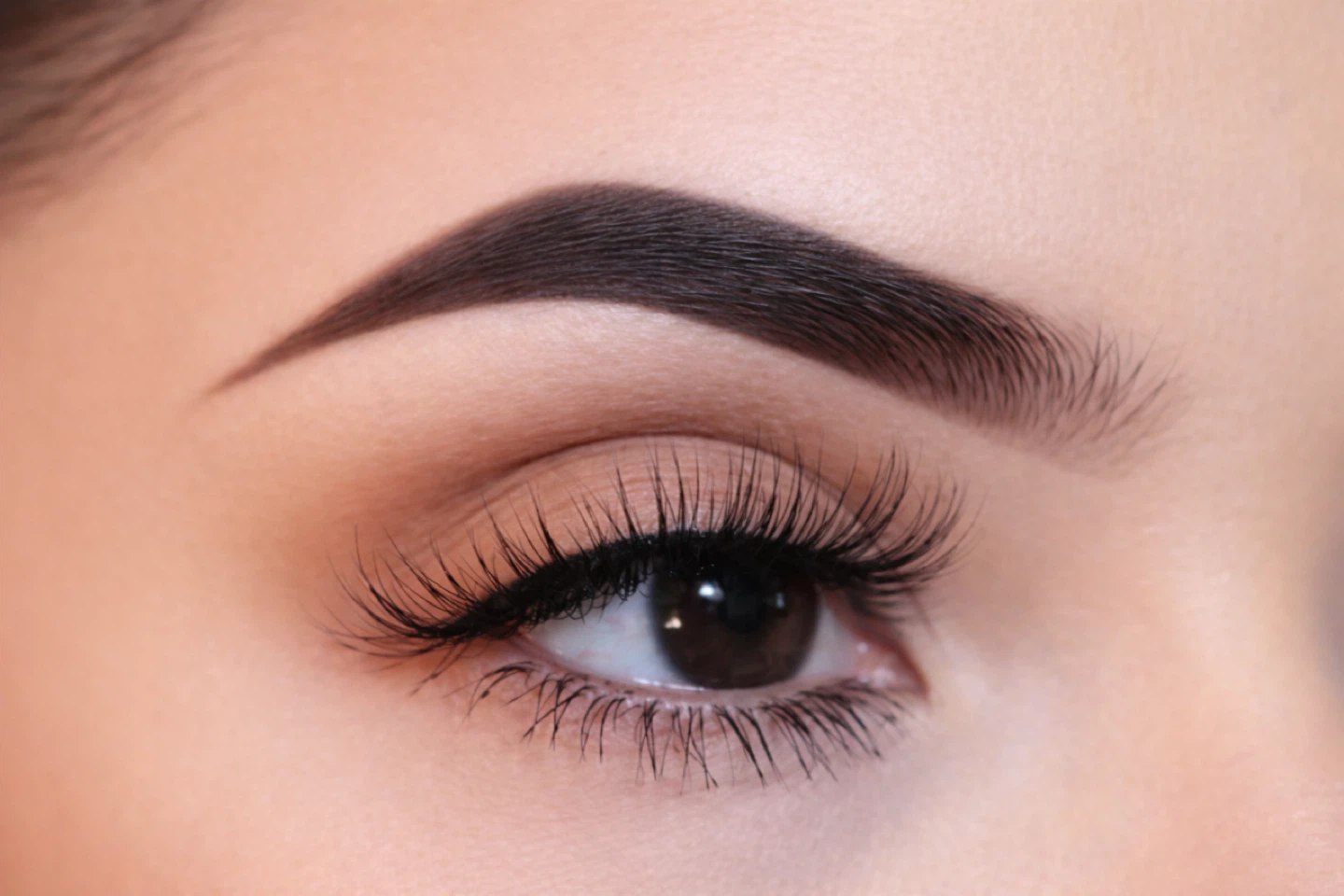 Velvet Brows profile