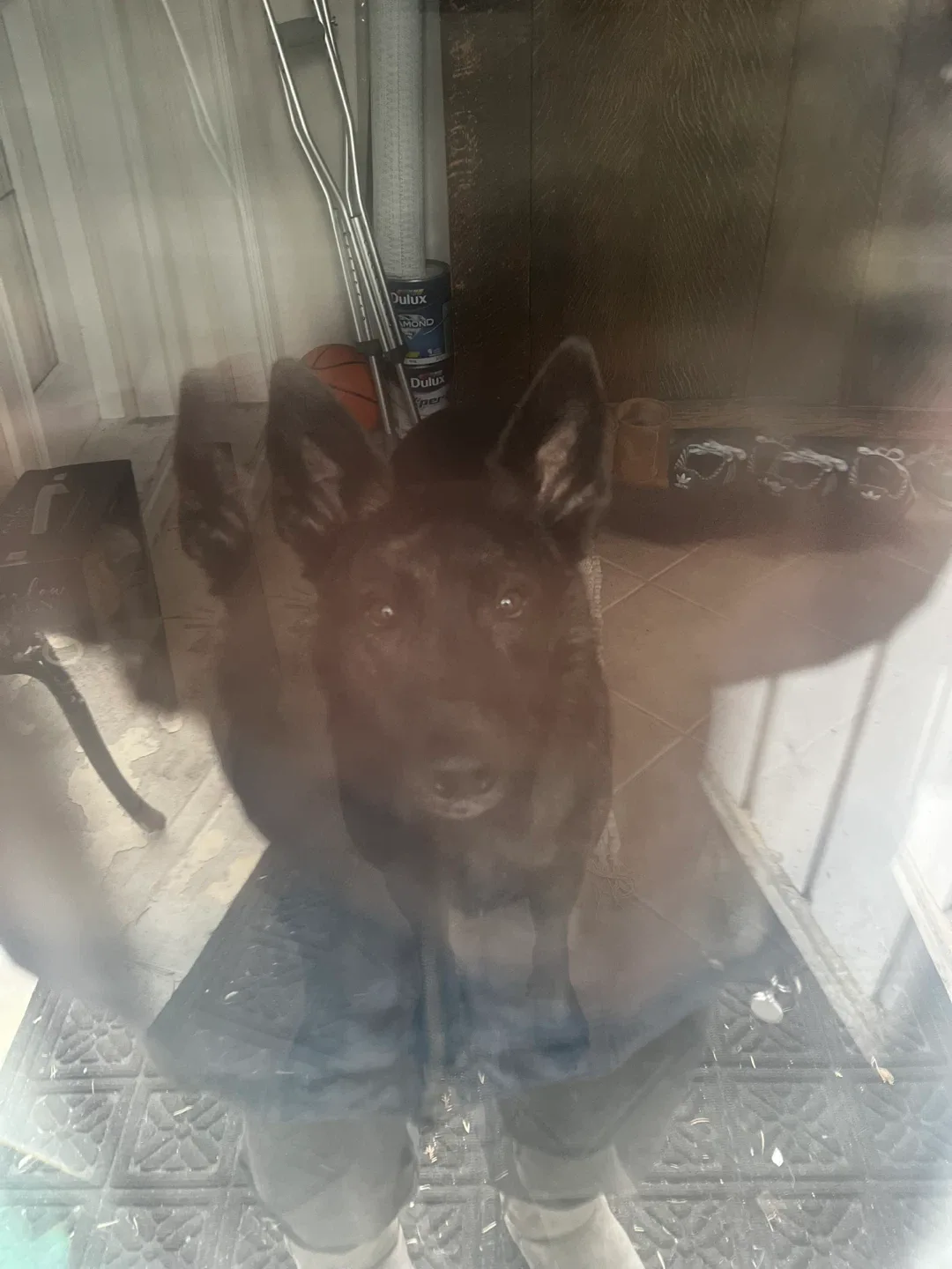 ZoiieAngelinaZathena profile