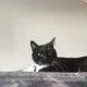 Brian profile