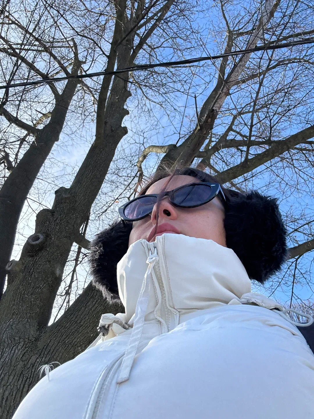 Luciana Santos profile