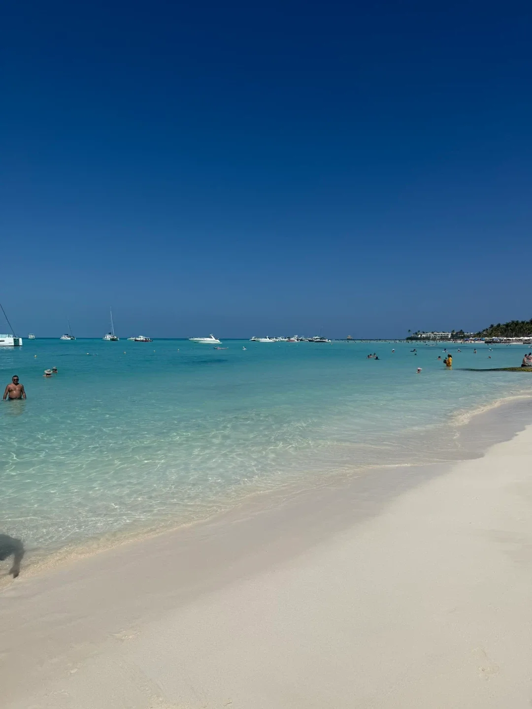 Addison Rock profile