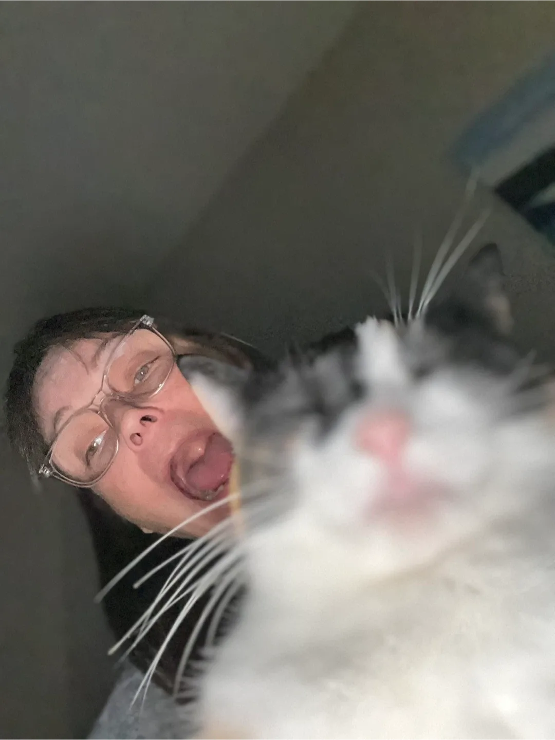 Christina Dalkin profile